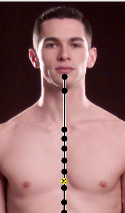 Ren 17, Heart energy, Heart protector