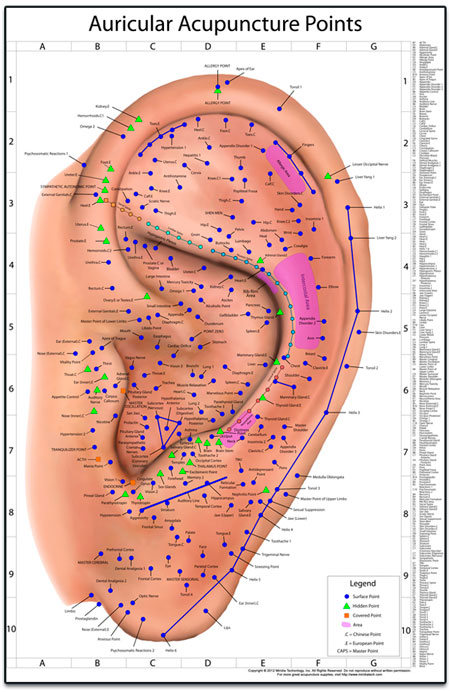 The world's best auriculotherapy chart