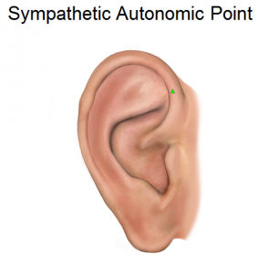 Sympathetic Autonomic Point