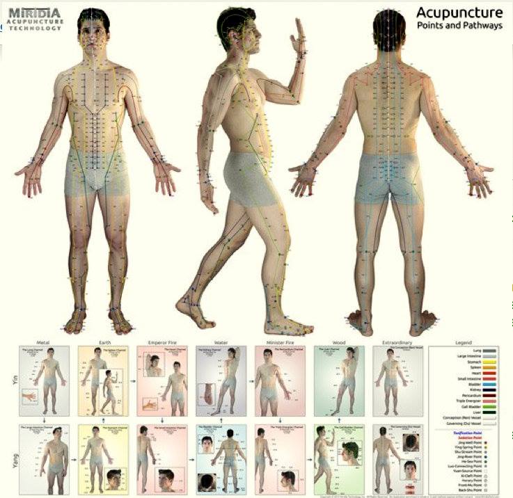 Ultimate Acupuncture chart