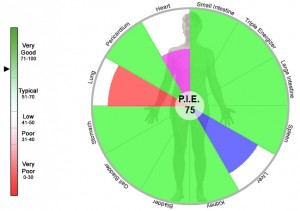 Pie - 75