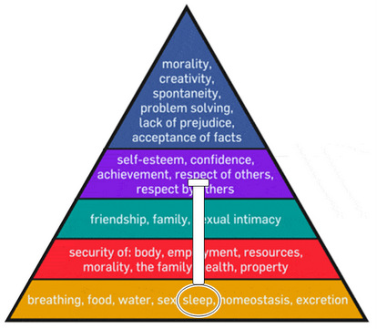 Maslow Anchored need