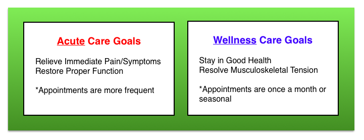 Acute Versus Wellness