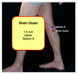 Shen Guan