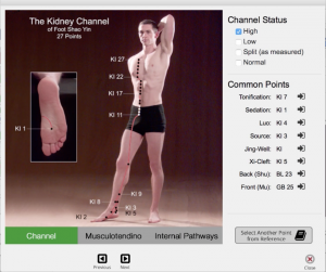 Kidney excess channel