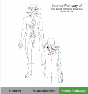 Internal Pathways