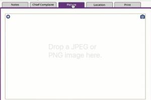 picture section