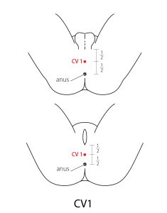 CV1-line