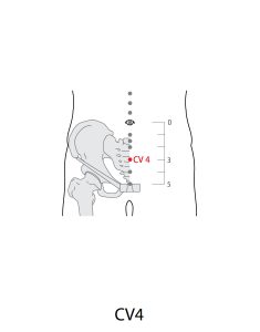CV4-line
