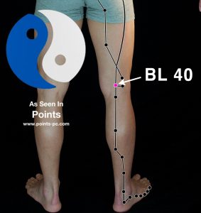 Acupuncture Point BL 40