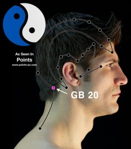 Acupuncture Point GB 20