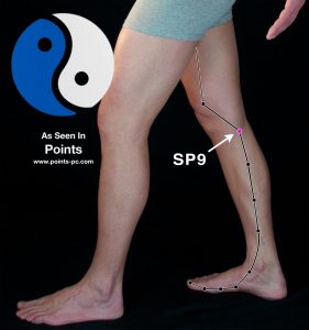 Acupuncture Point SP 9