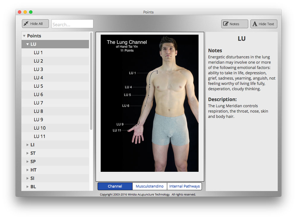 acupuncture points software free download