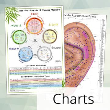 Acupuncture Charts Front Page Nav Image