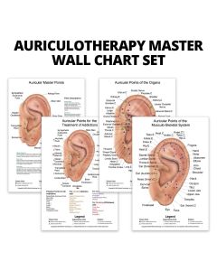 Auriculotherapy Master Wall Chart Set