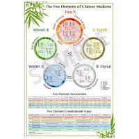 The World's Best Five Element Acupuncture Wall Chart