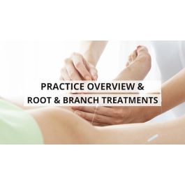 Practice Overview and Root and Branch Treatment Strategies - Digital ...