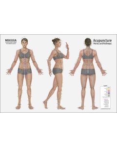 The ULTIMATE Acupuncture Wall Chart, Female 3'x2' Wide