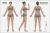 The ULTIMATE Acupuncture Wall Chart, Female 3'x2' Wide