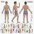 The ULTIMATE Acupuncture Wall Chart, Male - Version 2