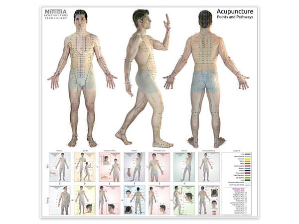 Acupuncture Charts