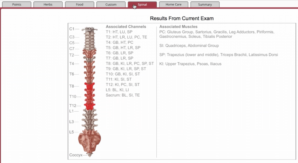 AcuGraph 5 Video Training: Treatment Plan - Spinal