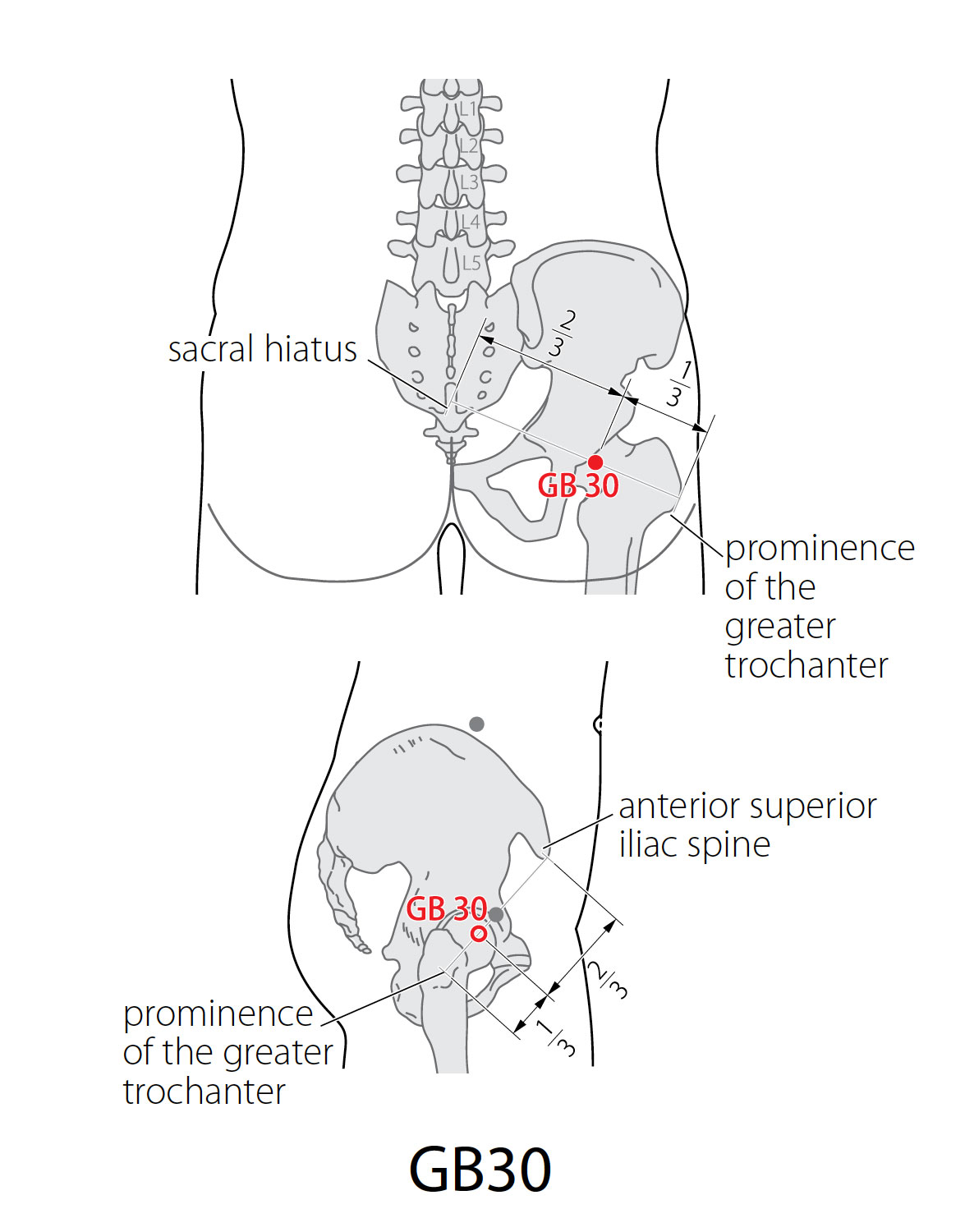 Gallbladder Tcm Acupuncture Point: Gallbladder 30 - Acupuncture Technology News