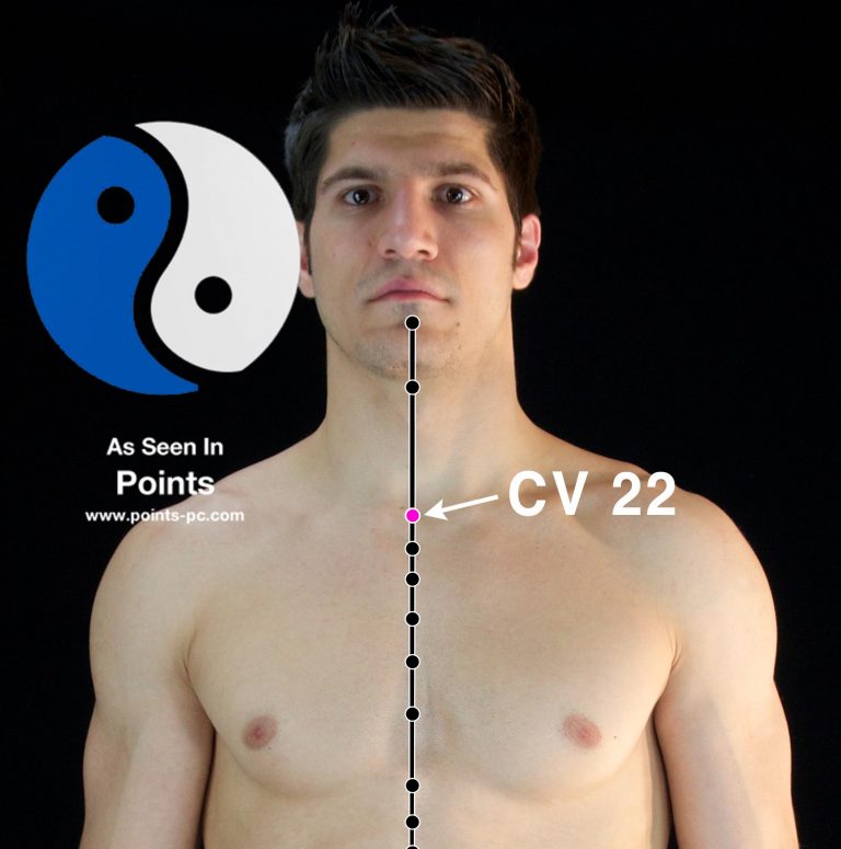 Point 22 Acupuncture Point: Conception Vessel 22 (CV 22) - Acupuncture ...