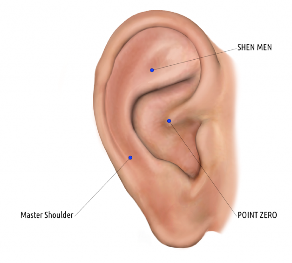 auriculotherapy points