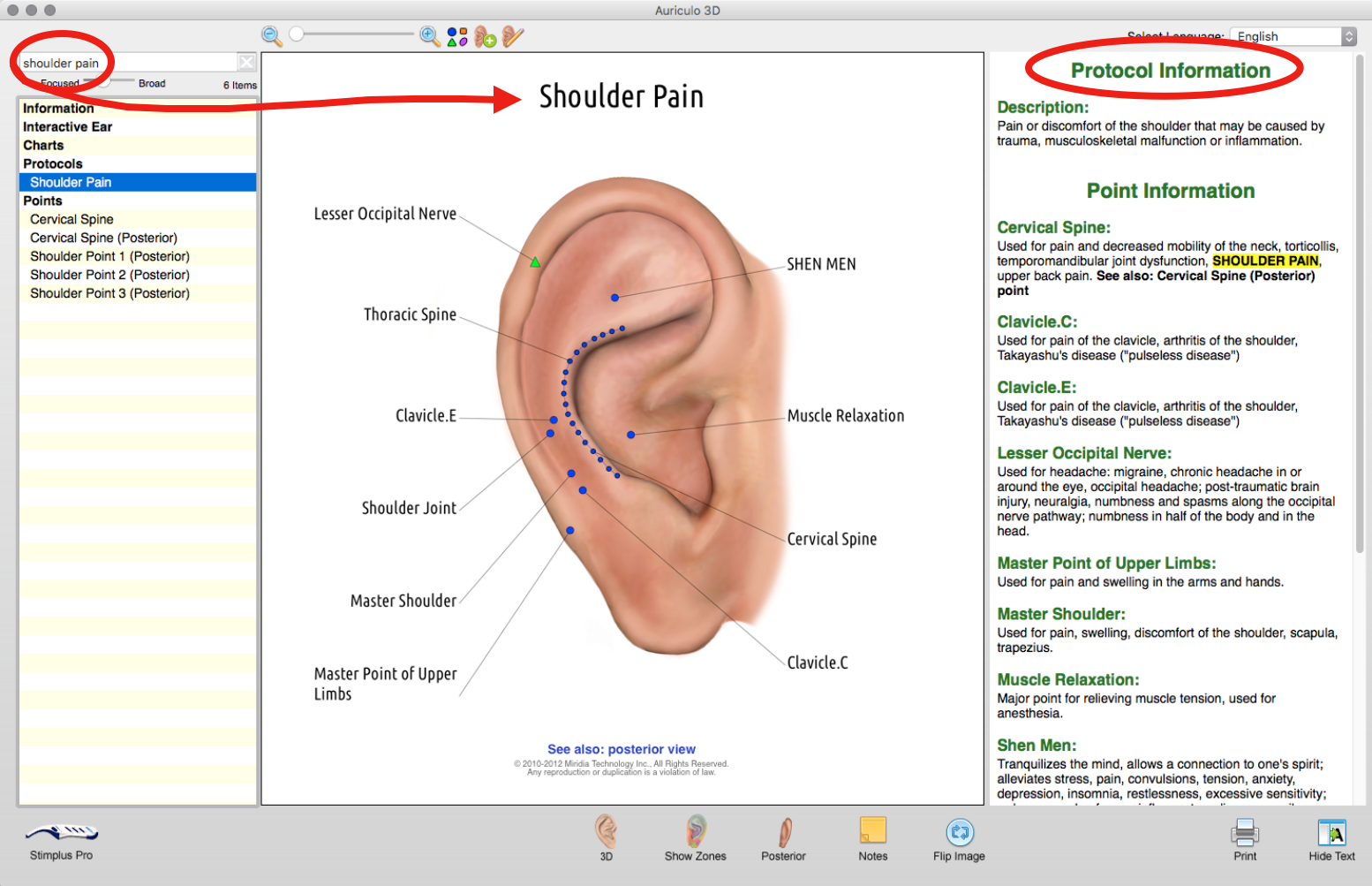 Multi Point In Ear Ear Acupuncture WINS - Acupuncture Technology News