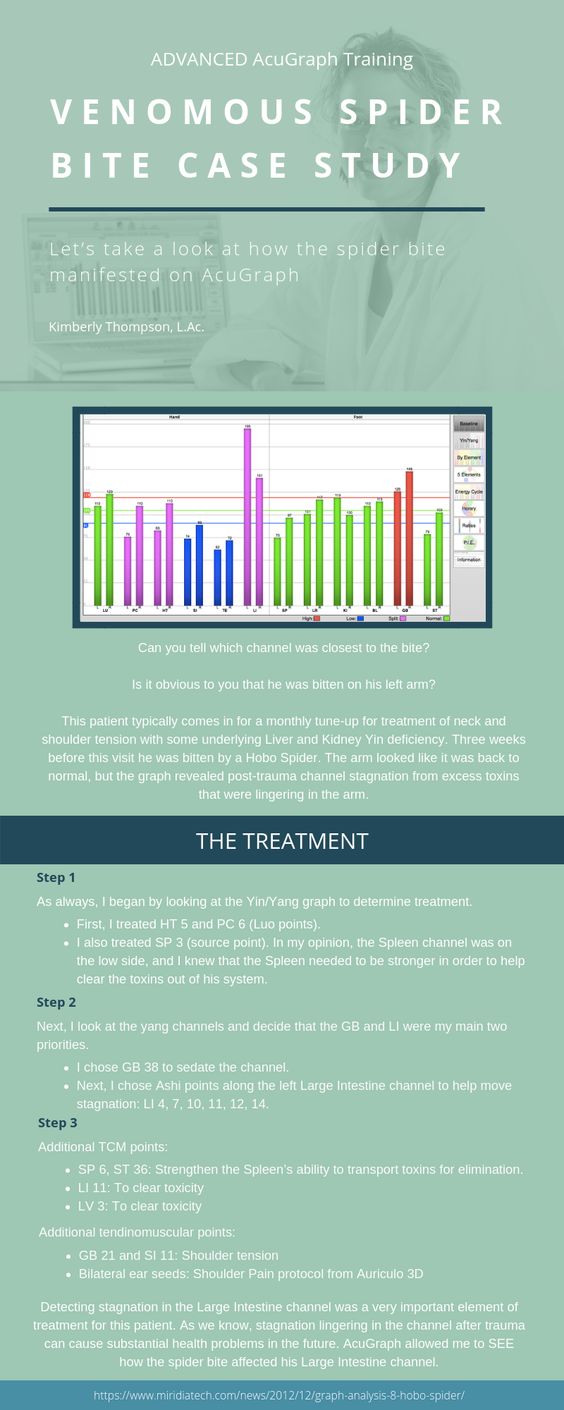 spider bite case study