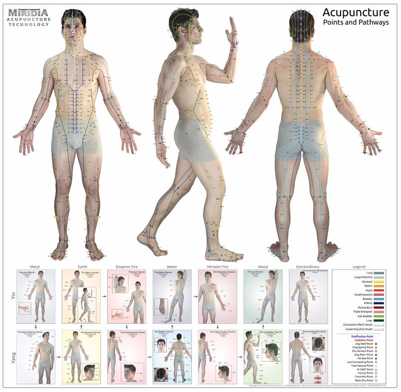 Acupuncture Gifts: Charts