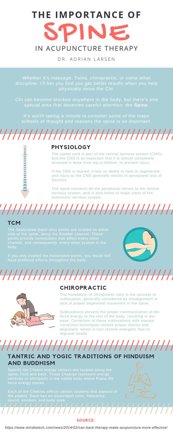 importance of spine