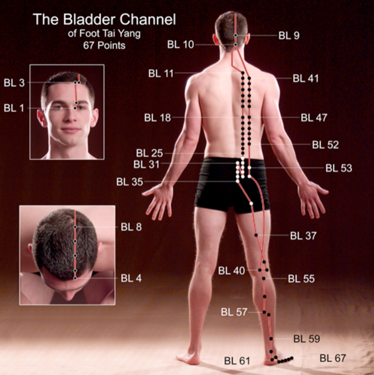 jade vitality bladder channel
