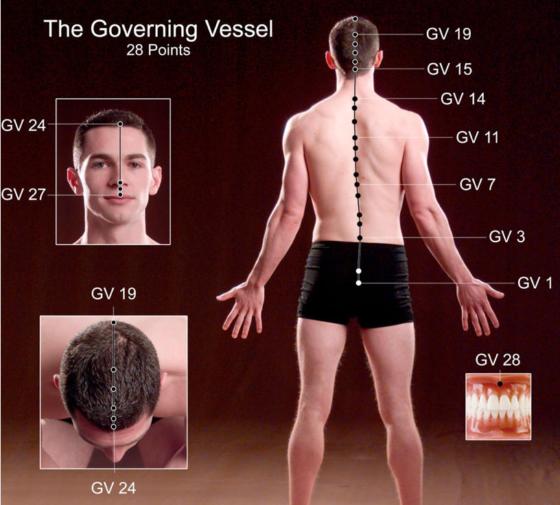jade vitality governing vessel