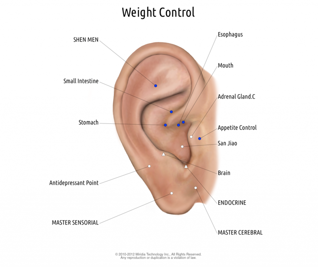 Auriculotherapy weight loss protocol - treat with Stimplus Pro