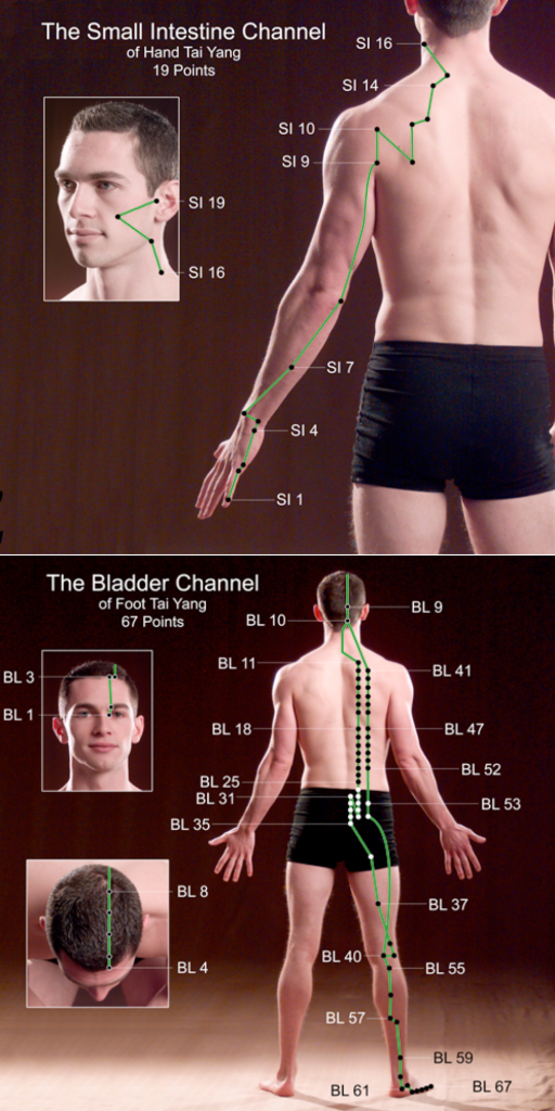 acupuncture for immune system