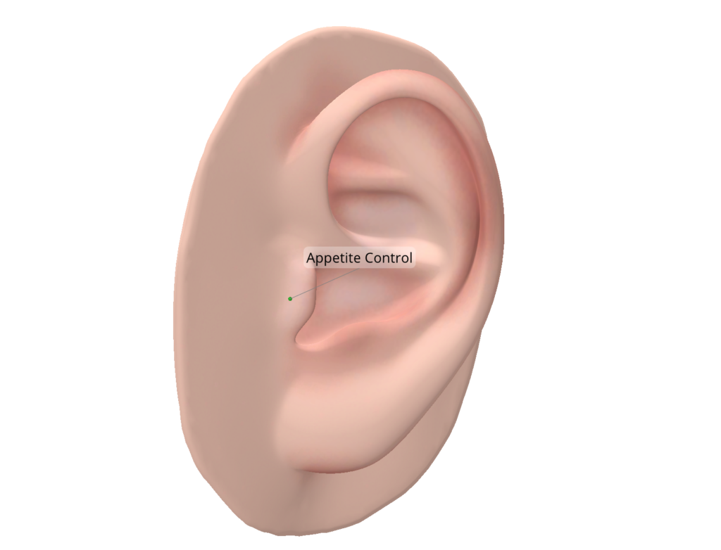 auriculotherapy for weight loss