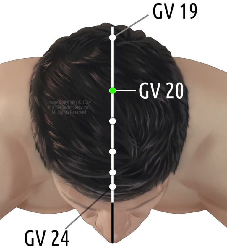 Gv16 Point Acupuncture Point: Governor Vessel 20 (GV 20) - Acupuncture Technology News