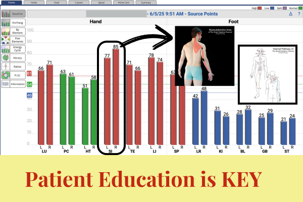 AcuGraph exam screen shows how acupuncture channels can influence back pain with internal and muscular images showcasing AcuGraph patient education is key.
