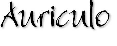 blocks_image
