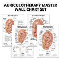 Auriculotherapy Mastery Wall Chart Set